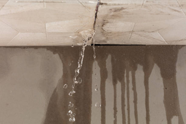 Professional Water Extraction technician working in Lucas, TX
